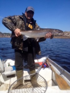 2912 salmon